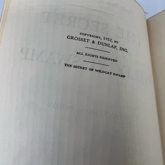 The Secret of Wildcat Swamp by Franklin Dixon - Picture 6 of 8